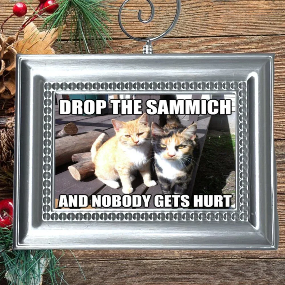 Cat Kitty‎ Kitten Funny Christmas Tree Ornament